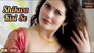 Shikwa Nahi Kisi Se | Lofi Love Remix 2025 💔 | Late Night Vibes | Bollywood Sad Song Reimagined