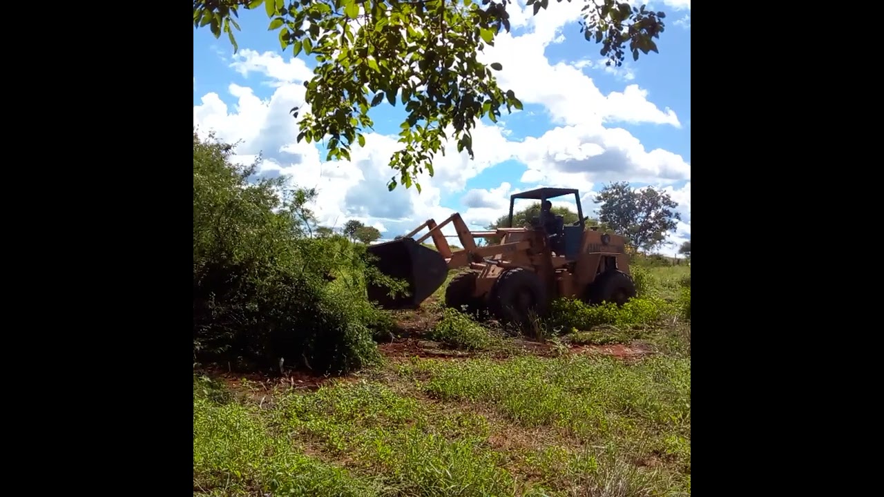 Bruno operador! operando a w20b case turbo...👏🏽💛🖤🚜🚧