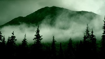 Forest of Orthanc - The Realms of the Fungus Gnomes