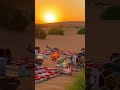 كشة القطب يوم الخميس 