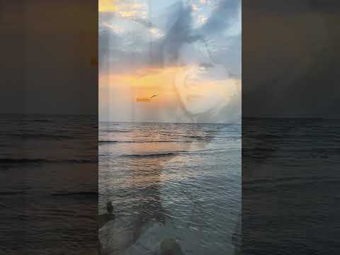 فايره احمد ايوه تعبني هواك اجمل حالات واتس اب طرب