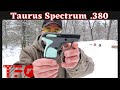 Taurus Spectrum .380 ACP &quot;Budget Series&quot; - TheFirearmGuy