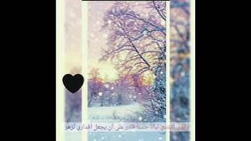 حالات واتساب دينية ٢٠٢١// اسلام صبحي/ سورة الرحمن ❤