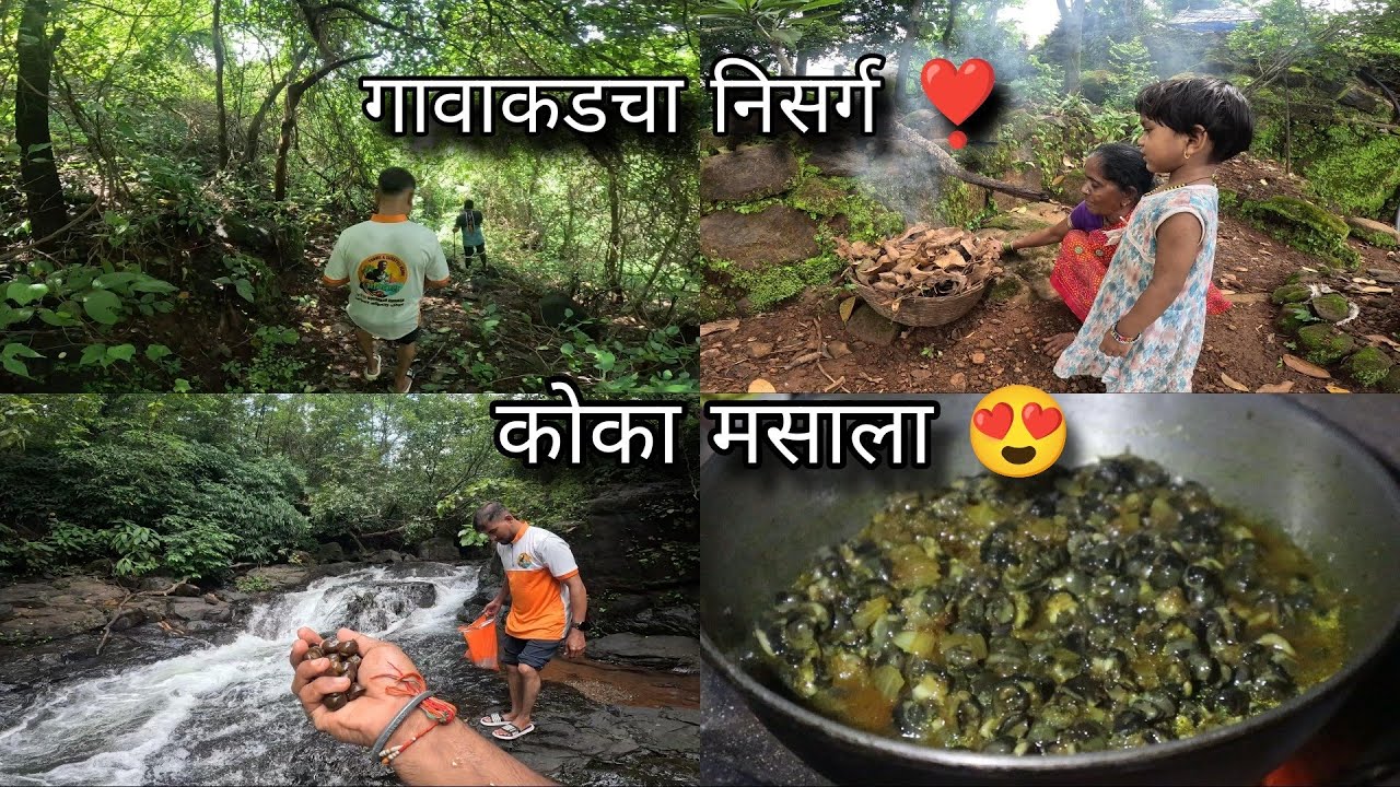 ओढ्यावरून कोके आणले, मयुरीने चुलीवर केला कोका मसाला | Koke Masala Village Cooking | Kokankar Avinash