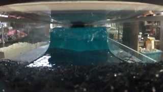 Micro Oceans Test Video
