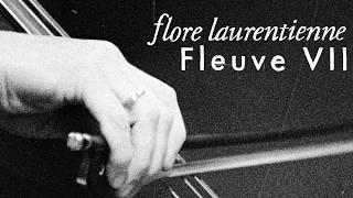 Flore Laurentienne - Fleuve Vii Visualizer