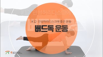 만성 허리디스크에 좋은 버드독 운동_허리통증 완화