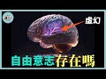 人的命運是上天注定嗎？ 耗時200年，數十位頂尖科學家終於發現答案 l 老鳴TV