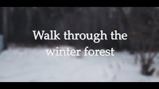 Walk Through The Winter Forest 4K / Прогулка По Зимнему Лесу 4К / Звуки Природы