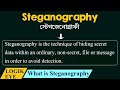 Master Steganography: How to Hide Data Inside Images 📸