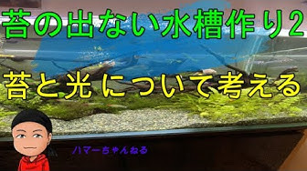 アクアリウムデバイス Youtube