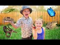 Bug hunt outdoor adventure with caleb at grandmas house kids find spiders frogs  worms bugs