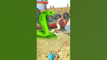 Anaconda snake in real life P104#shorts #short #snake #nagin #python #anaconda #snakes #bigsnake