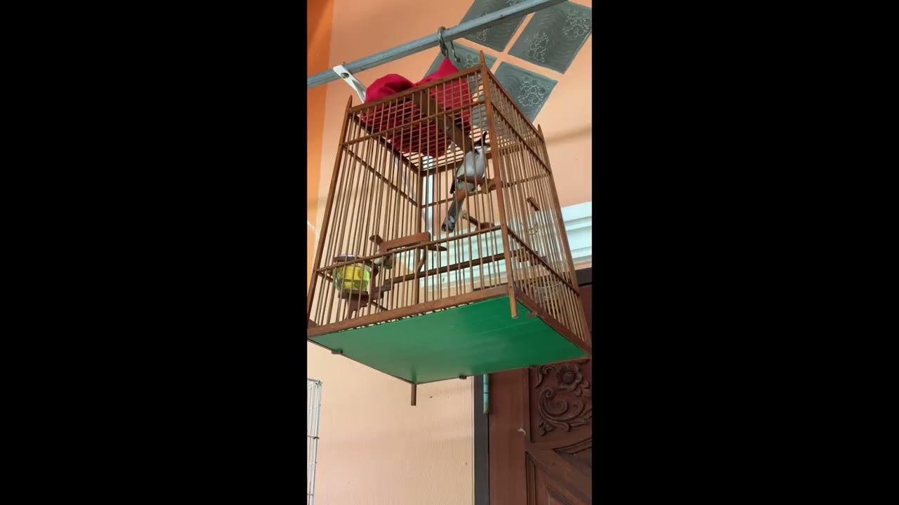 4 มีนาคม 2569