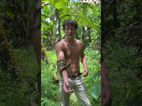 Snake Time Is Back We Are Back Challenge Snake Dangeroussnakes Wildchallenge 