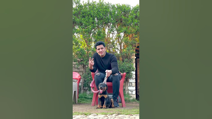 Which dog do you like the most?       #basemhunt #dog #rottweiler
