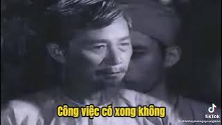 đồ ngu đồ ăn hại cút mẹ mày đi