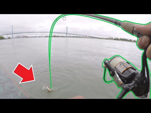 INCREDIBLE CATFISH BITE ( NON STOP ACTION ) - Detroit river fishing 