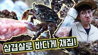 삼겹살로 바다게 채집, 통발설치! _ 에그박사와 곤충친구들