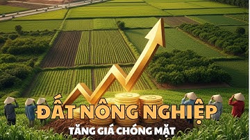 ĐẤT NÔNG NGHIỆP SẮP TĂNG GIÁ CHƯA TỪNG CÓ: AI GIÀU LÊN, AI TRẮNG TAY?