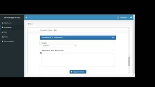 3.2 - Perfil Resolutor Dg
