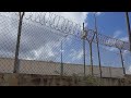 LIVE Flamingo Feather Hunt Behind A Prison?!