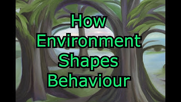 How Environment Shapes Behaviour