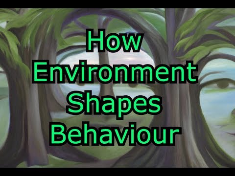 How Human Environment Interactions Shape Cultural And Natural Landscapes?