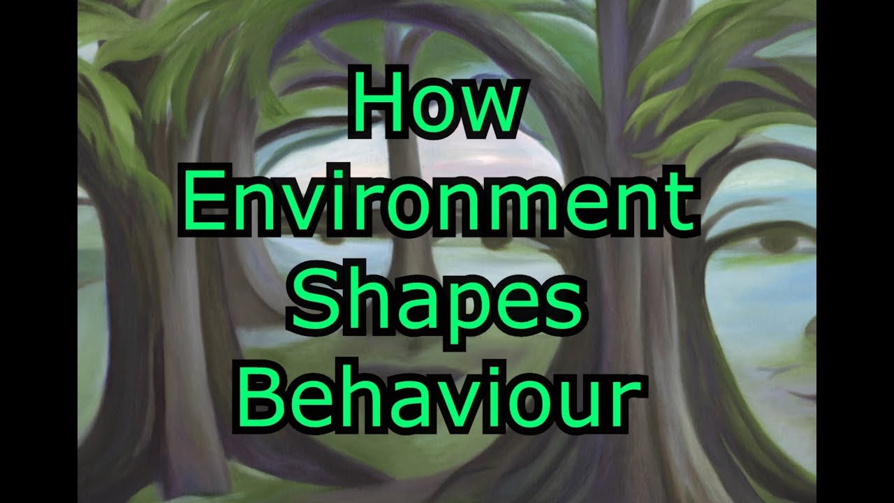 How Environment Shapes Behaviour - YouTube