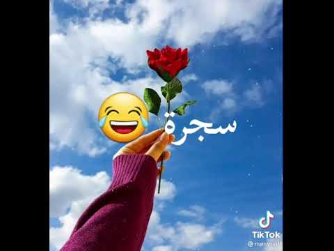 افتحوا الفيديو وشوفوا اللهجة الحلبية تحية لأهل حلب 