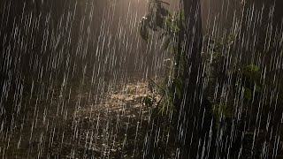 [7 Dakika Dinlemeyi Deneyin] & Gece Ormandaki Küçük Patikada Şiddetli Yağmur ile Anında Uyuyun