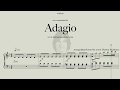 Adagio  -  my Version of the Adagio by J.S.Bach/Marcello