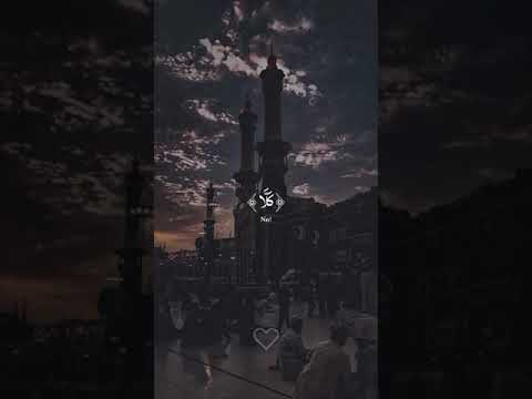 ويزيد الله الذين اهتدوا هدى