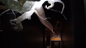 Interactive Neuron Sculpture