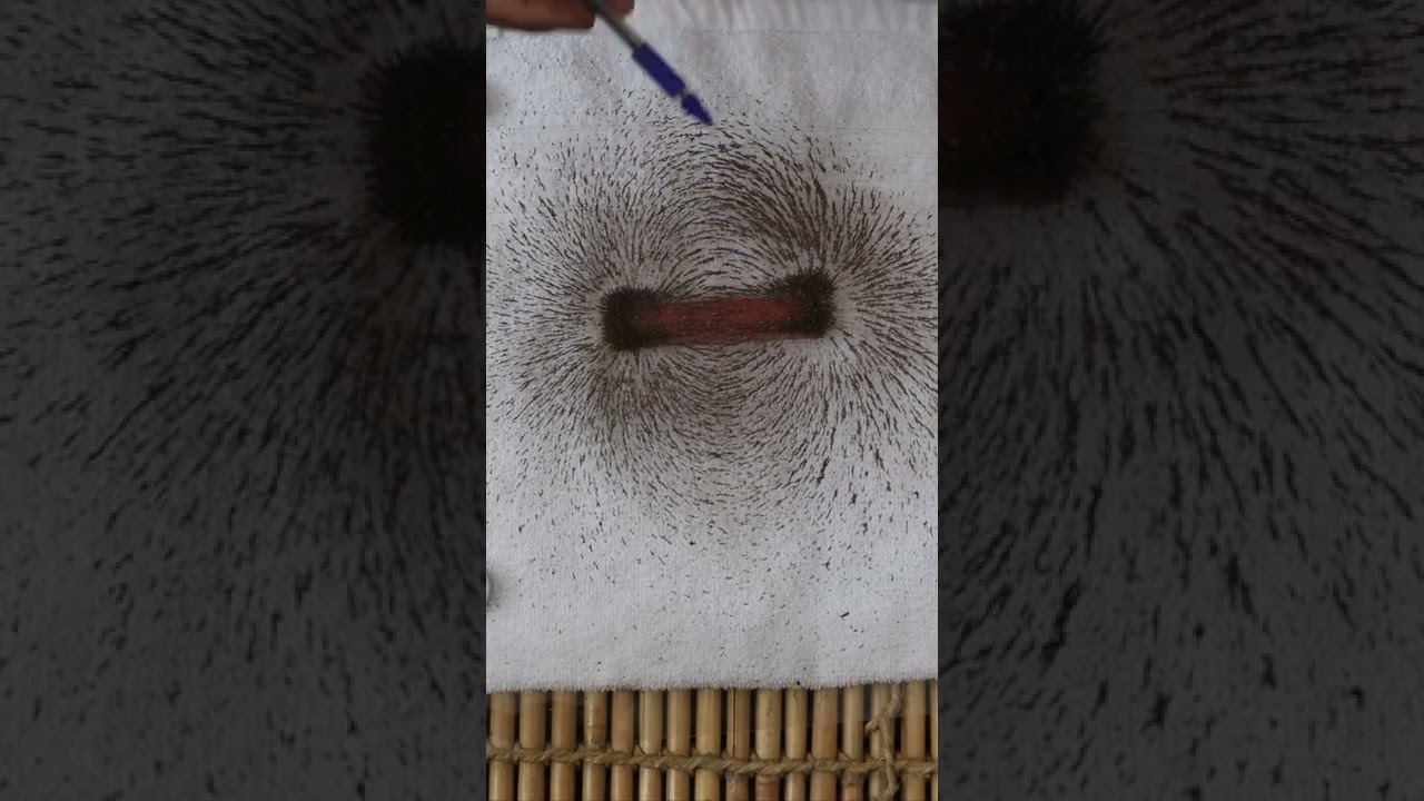 🧲Magnetic Field and Magnetic Field Lines🧲 | Chapter 13 Class 10 Science | Learn Practically
