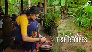 Authentic Village Style Cooking Traditional Kerala Freshwater Fish Curry Fry Kerala Lifestyle