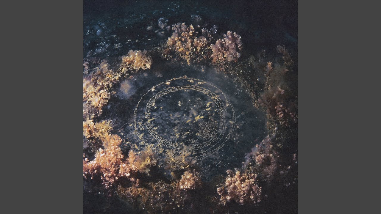 Watch Nebula on YouTube Watch Nebula on YouTube