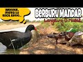 Berburu Burung Mandar Di Sarangnya Langsung Masak Di Tempat || PRIMITIVE TECHNOLOGY