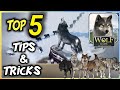 Jeu de loup twk  top 5 trucs et astuces  guide du dbutant