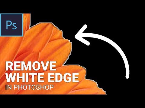 Remove White Edge In Photoshop | Remove White Border When Removing Background | Photoshop Tutorial