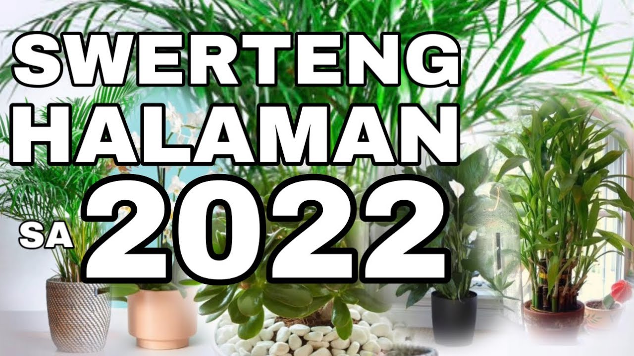 MGA SWERTENG HALAMAN SA 2022 | Lucky Plants na Dapat Meron ka sa 2022