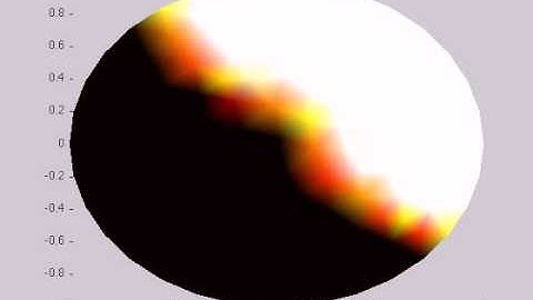 Dr. Youngmah || Simulation of F-actin waves in a 2D cell showing localized boundary