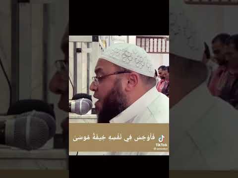 د احمد السعيد مندور