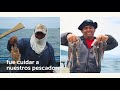 Nayib Bukele dará 100 dólares a pescadores Salvadoreños afectados por el Huracán ETA