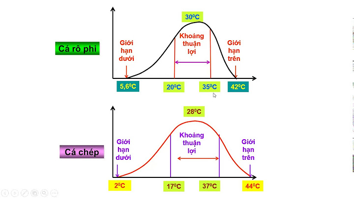 1 giới hạn sinh thái là gì đặc điểm ví dụ giới hạn về nhiệt độ ở Cá rô phi