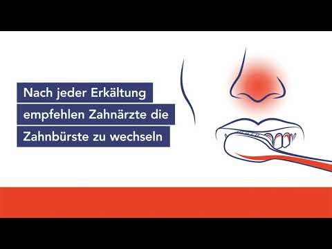 Vorschau: Youtube-Video