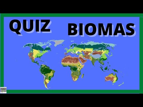 QUIZ BIOMAS -