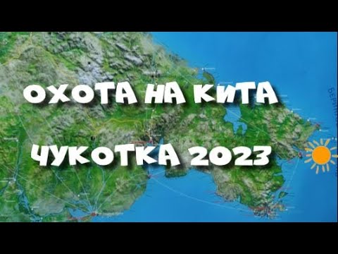 Видео: Охота на серого кита. В реальном времени