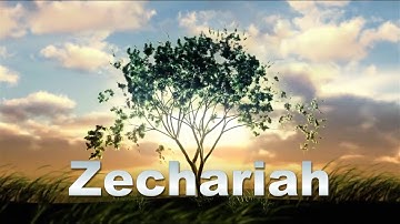Jesse Tree Story 21 ZECHARIAH
