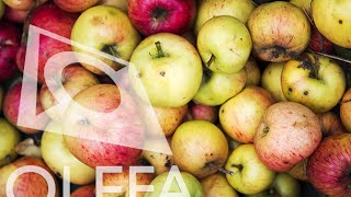 Olefa 15.10 Olefacalendar Gruppen Warnungen